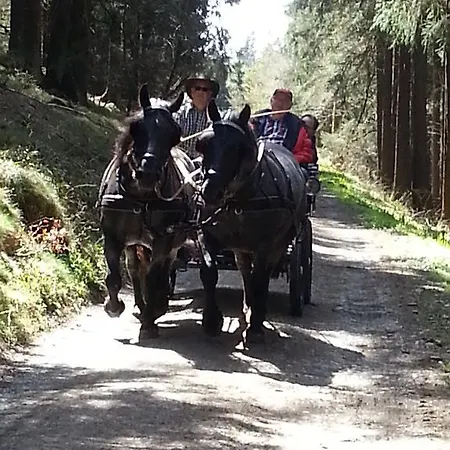 شقة Ohmeis وينتربرغ