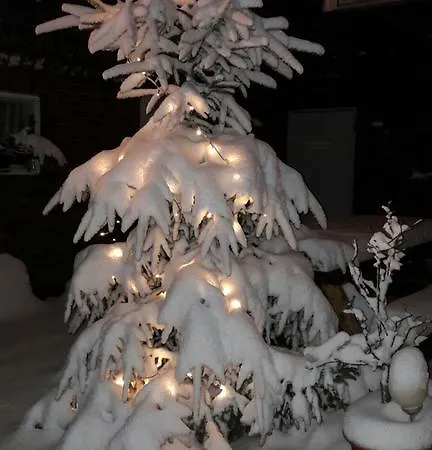 Ohmeis * Winterberg