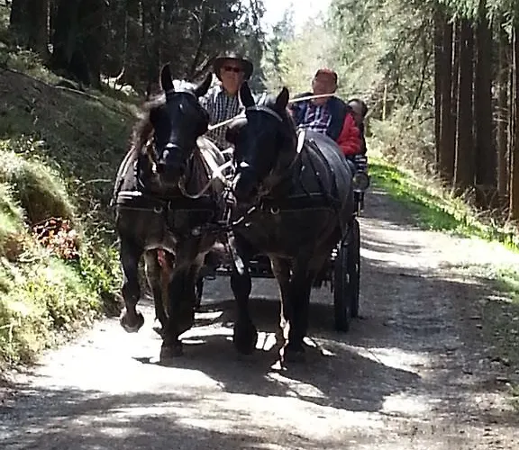 شقة Ohmeis وينتربرغ